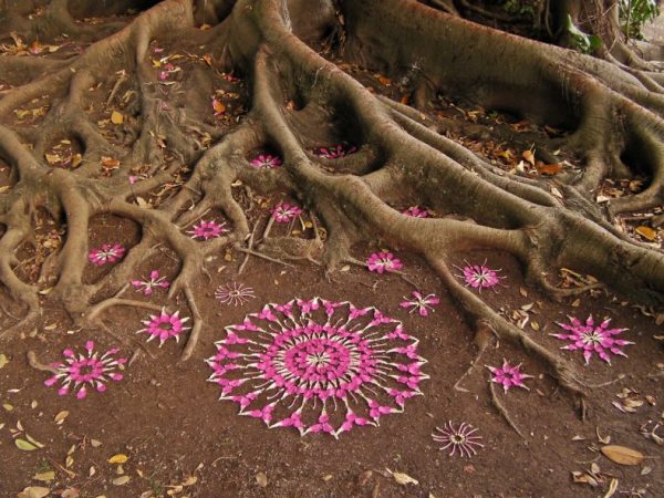 Equinoccio de Otoño, empieza la nueva etapa